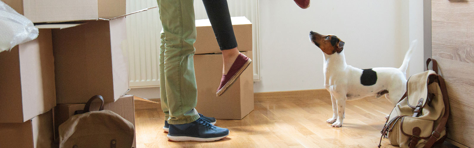 Couple and dog in home with moving boxes.