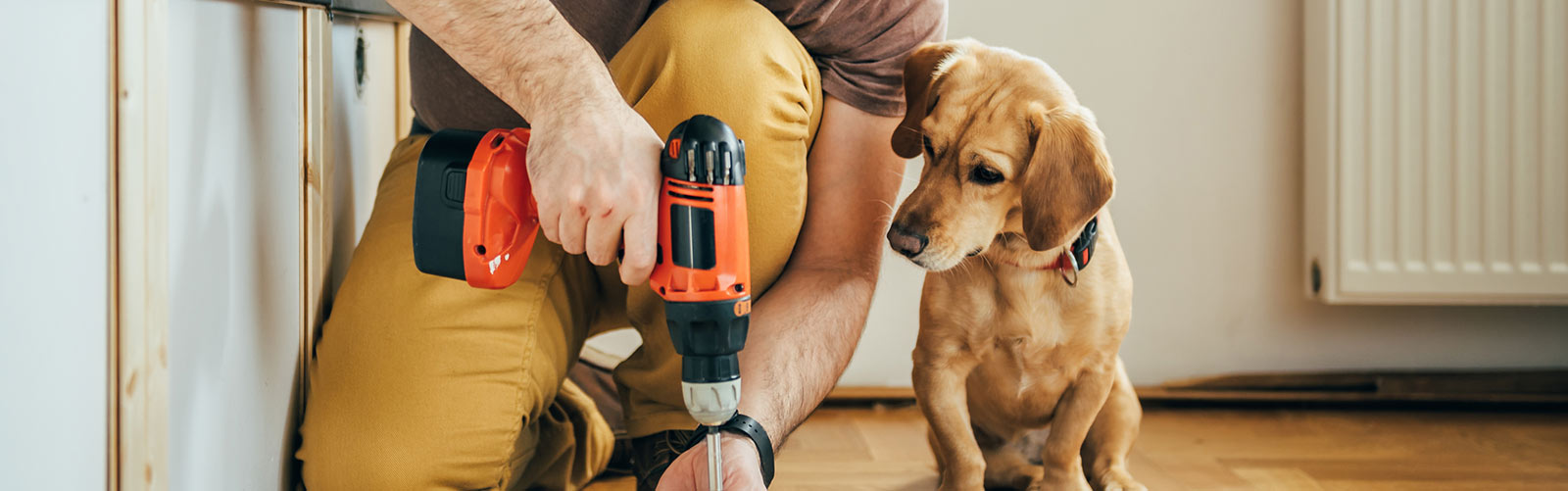 Man using drill with dog.